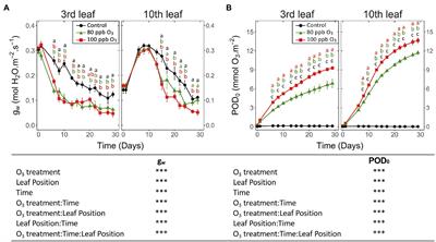 Dynamics of Foliar Responses to O3 Stress as a Function of Phytotoxic O3 Dose in <mark class="highlighted">Hybrid Poplar</mark>